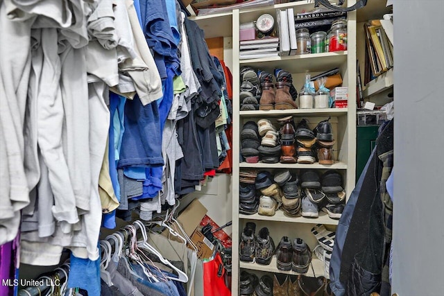 view of spacious closet