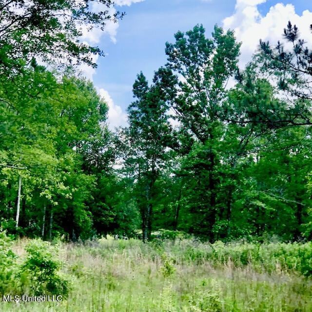 22280 Success Rd, Saucier, MS 39574