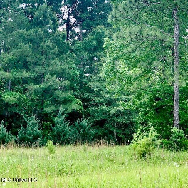 22280 Success Rd, Saucier, MS 39574