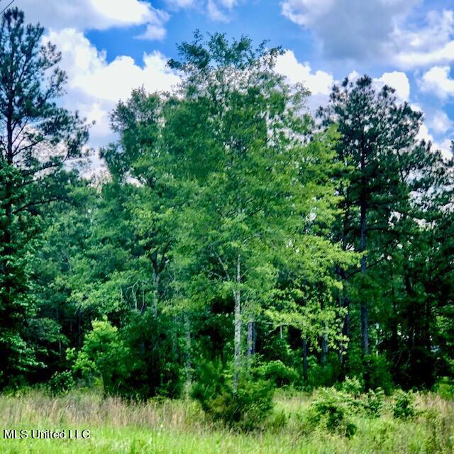 22280 Success Rd, Saucier, MS 39574