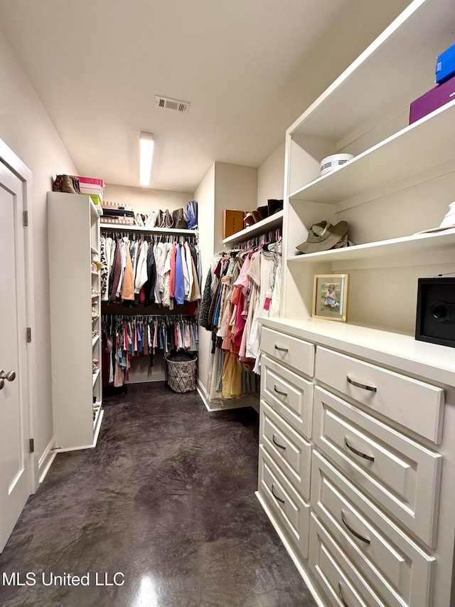 view of spacious closet