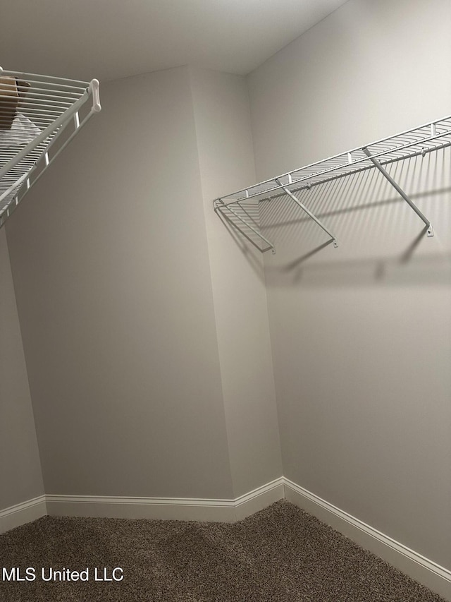 spacious closet featuring dark colored carpet