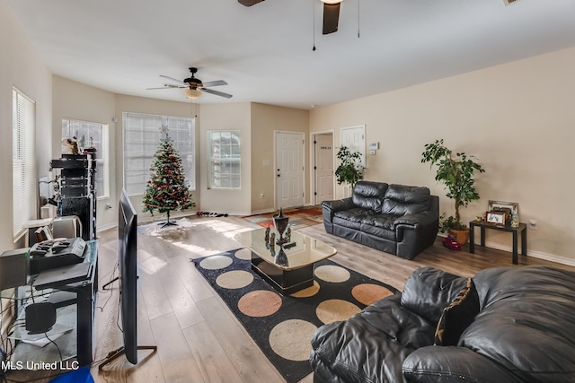 living room with ceiling fan and hardwood / wood-style flooring