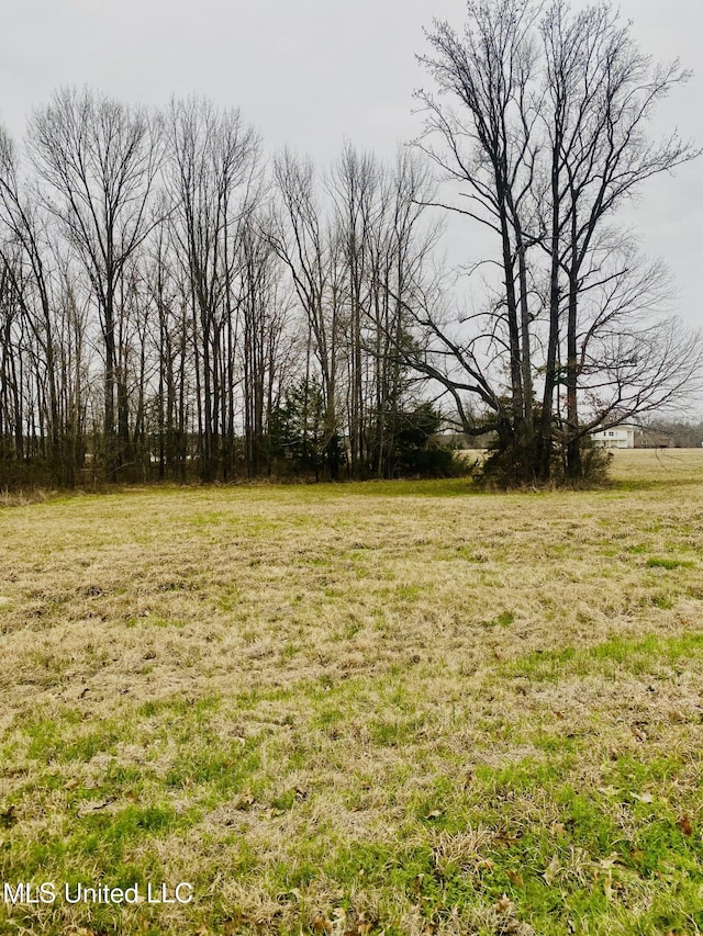 Woodbridge Dr, Brandon MS, 39047 land for sale