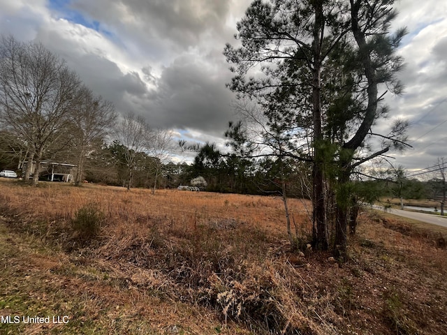 Listing photo 2 for 4 Treasure Pt, Carriere MS 39426