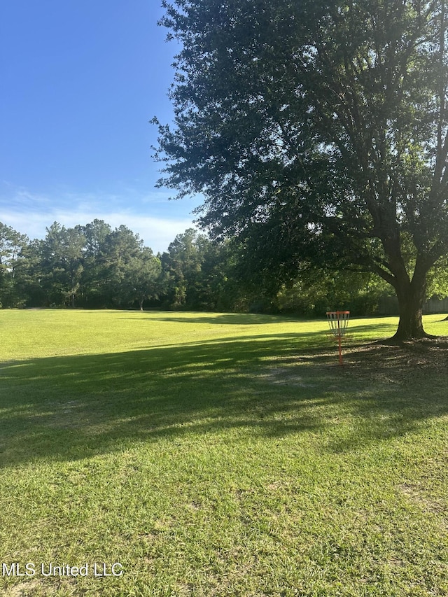 view of grassy yard