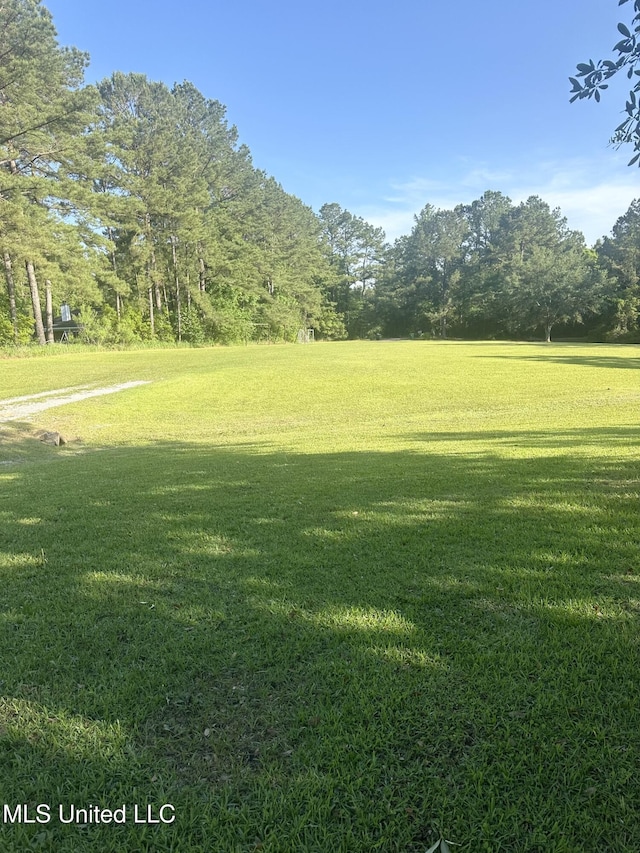 view of grassy yard