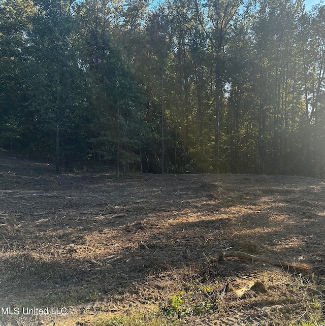 LOT15 Michael Dr, Lake Cormorant MS, 38641 land for sale