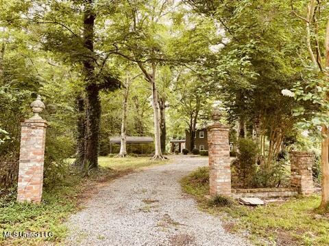 view of road featuring gravel driveway