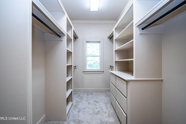 6147 Wirtz Rd, Flowood, MS 39232 - walk in closet featuring light colored carpet