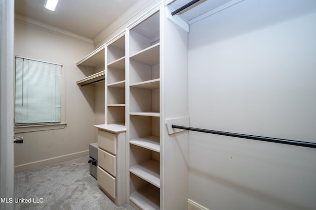 6147 Wirtz Rd, Flowood, MS 39232 - walk in closet featuring light colored carpet