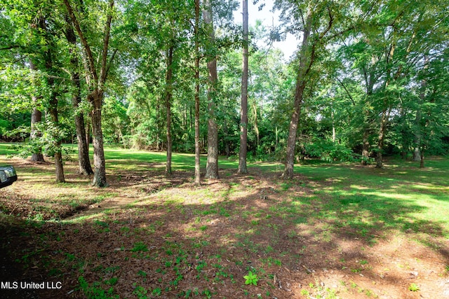 6147 Wirtz Rd, Flowood, MS 39232 - view of local wilderness
