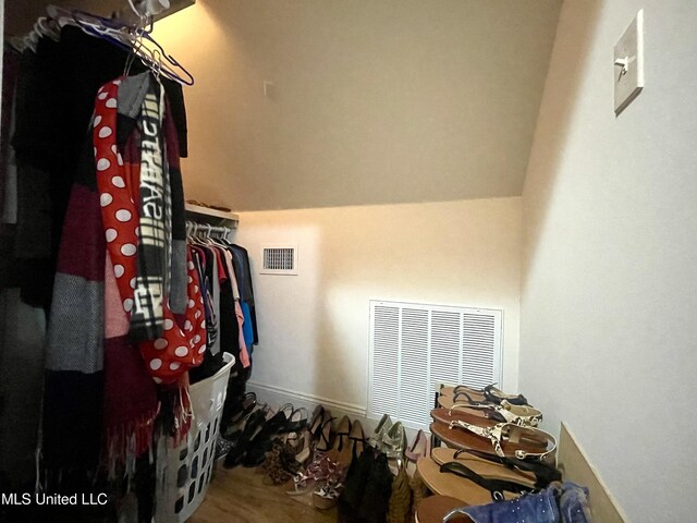 view of walk in closet