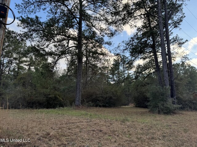 334 Baughman Rd, Poplarville MS, 39470 land for sale