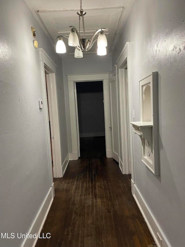 corridor with a notable chandelier and dark hardwood / wood-style flooring