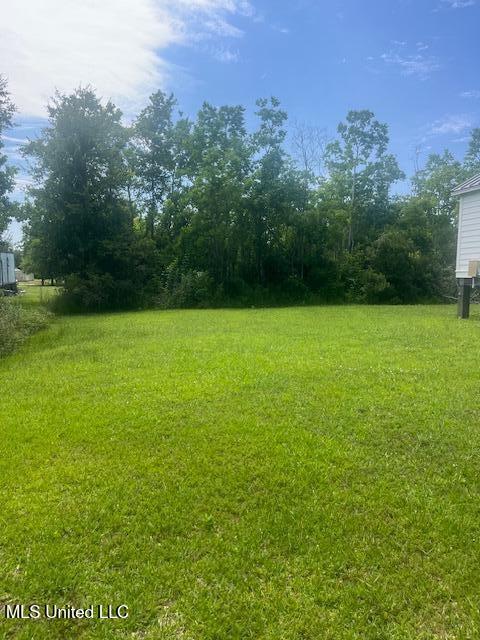 909 Sears Ave, Waveland, MS 39576 - view of yard