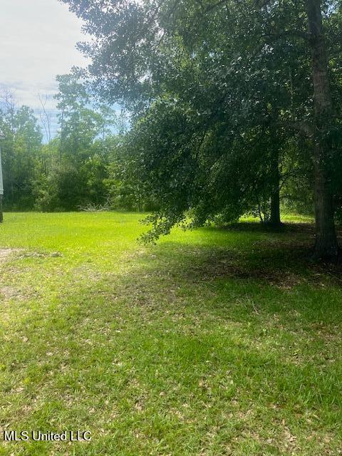 909 Sears Ave, Waveland, MS 39576 - view of yard