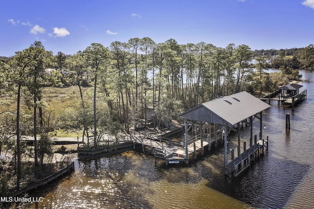 view of dock with a water view and boat lift