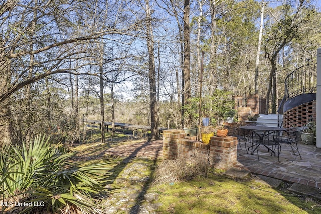 view of yard featuring a patio