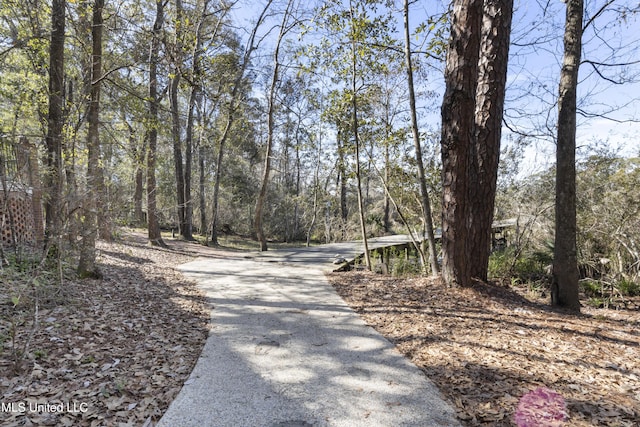 view of street with a wooded view