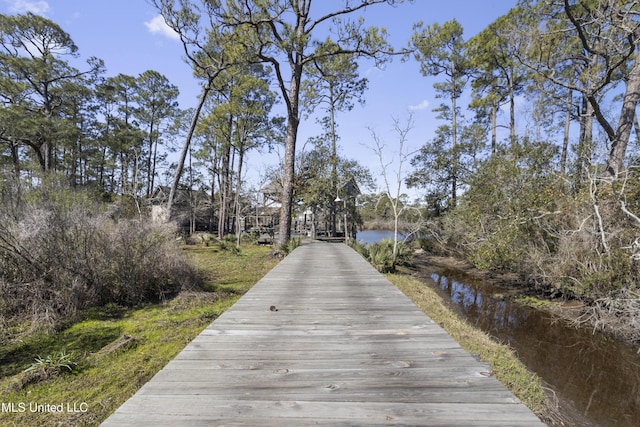 dock area with a water view