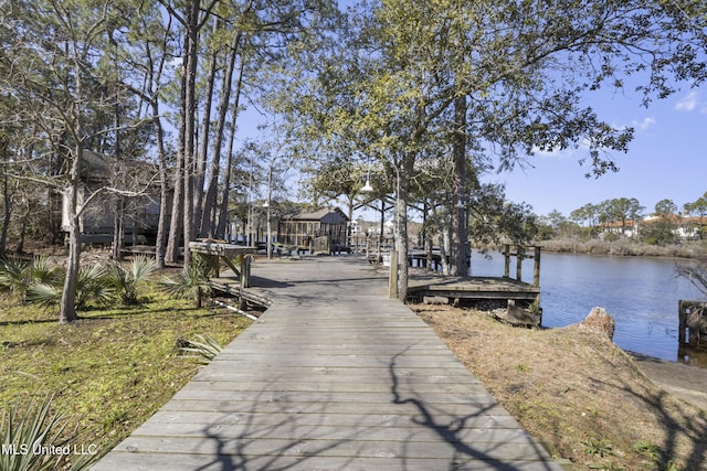 dock area with a water view