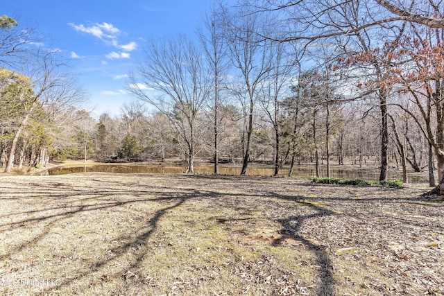 view of yard featuring a forest view