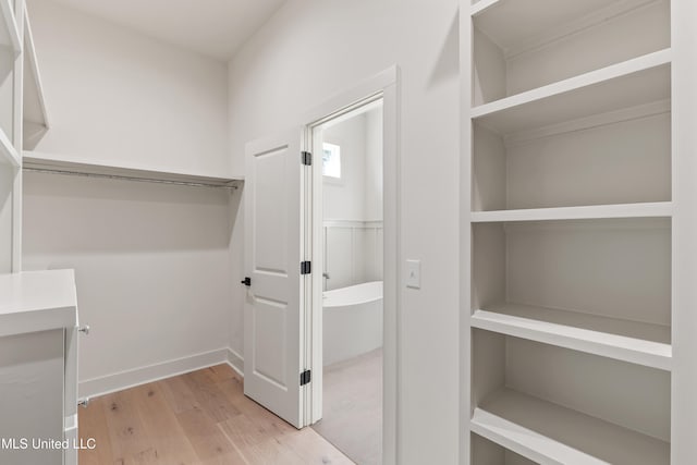 spacious closet with light wood-type flooring