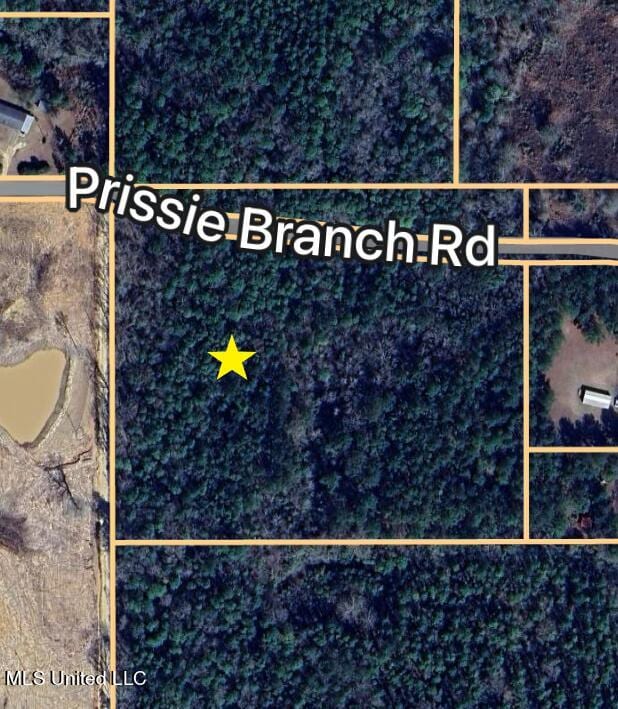 NHN Prissie Branch Rd, Perkinston MS, 39573 land for sale