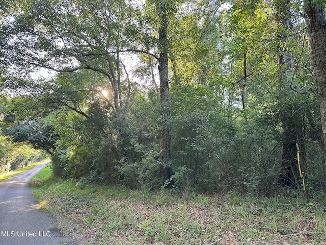 Listing photo 3 for NHN Prissie Branch Rd, Perkinston MS 39573