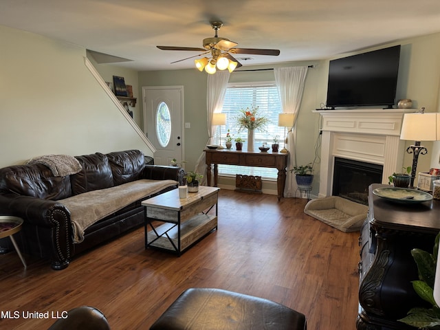 living room featuring ceiling fan and dark wood-type flooring