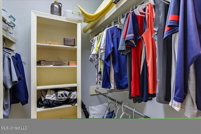 view of spacious closet