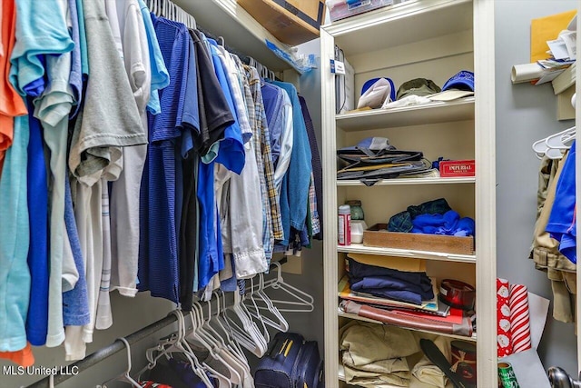 view of spacious closet