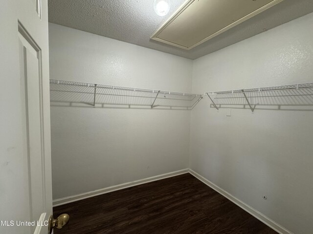 7413 Fox Creek Dr, Olive Branch, MS 38654 - walk in closet featuring attic access and dark wood-style flooring