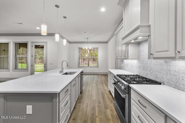 115 Grayson Way, Madison, MS 39110 - kitchen with stainless steel appliances, custom range hood, a sink, light wood-style flooring, and light countertops