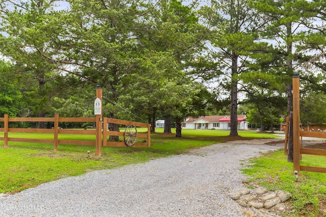 156 Cobbville Rd, Canton, MS 39046 - view of dirt / gravel road