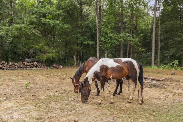 156 Cobbville Rd, Canton, MS 39046 - stable featuring a wooded view