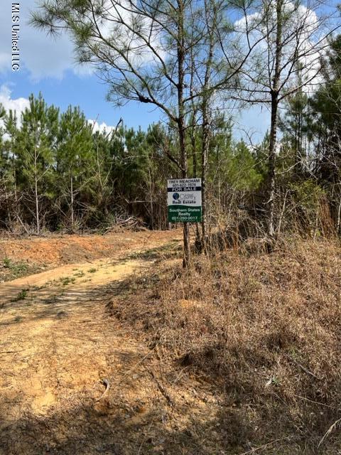 0 Honeysucker Rd, Camden, MS 39045