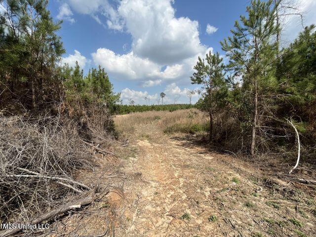 0 Honeysucker Rd, Camden, MS 39045