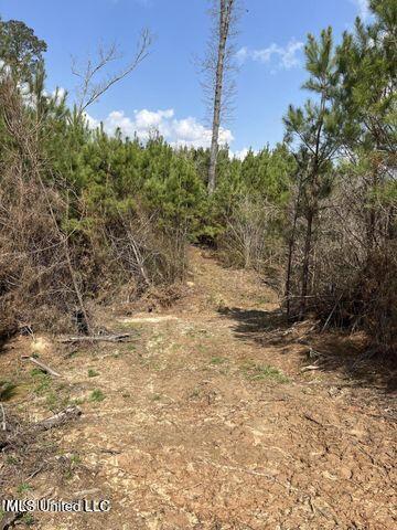 0 Honeysucker Rd, Camden, MS 39045
