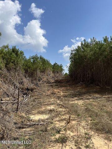 0 Honeysucker Rd, Camden, MS 39045