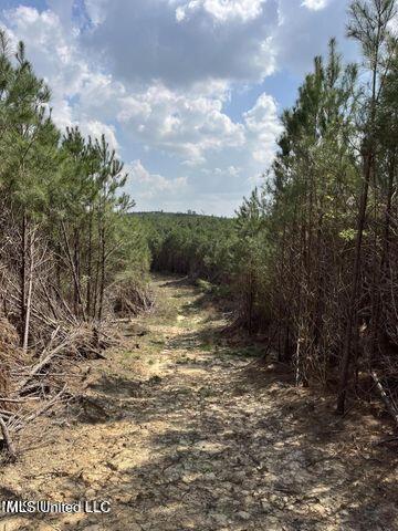 0 Honeysucker Rd, Camden, MS 39045