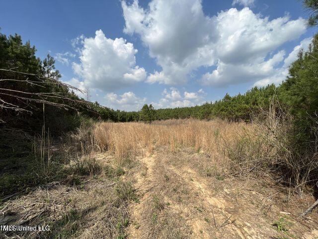 0 Honeysucker Rd, Camden, MS 39045