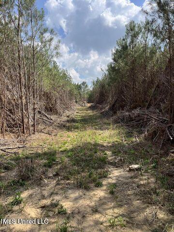 0 Honeysucker Rd, Camden, MS 39045
