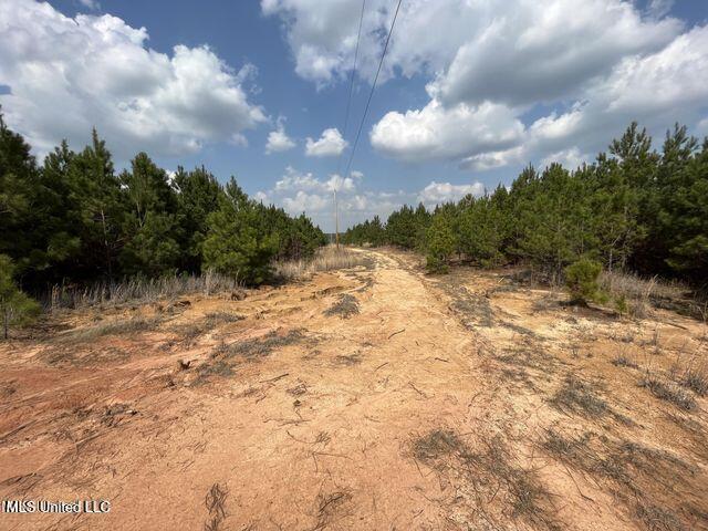 0 Honeysucker Rd, Camden, MS 39045