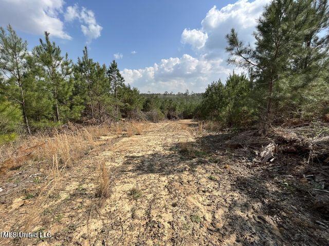 0 Honeysucker Rd, Camden, MS 39045