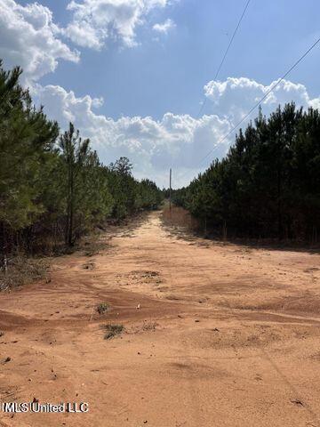 0 Honeysucker Rd, Camden, MS 39045