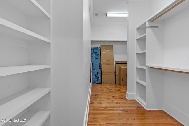 spacious closet featuring light hardwood / wood-style flooring