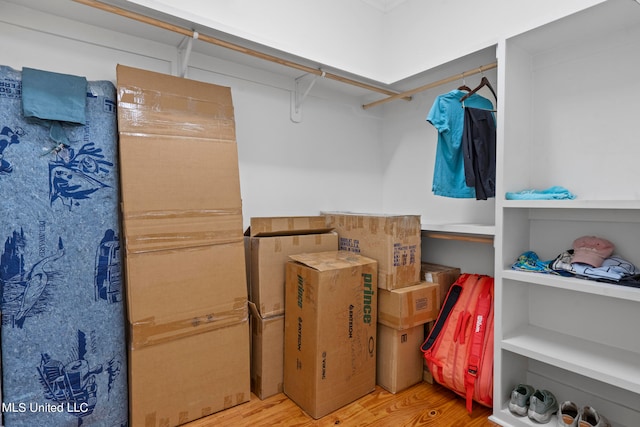 walk in closet with light wood-type flooring