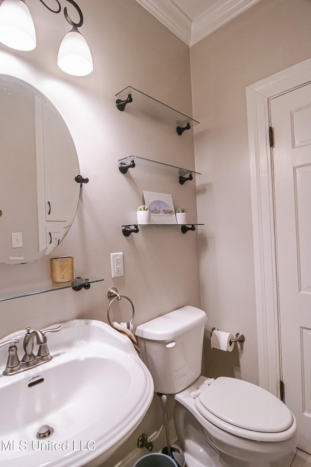 half bath featuring crown molding, a sink, and toilet